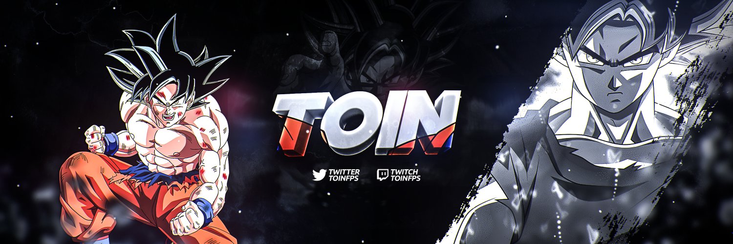 Toin banner