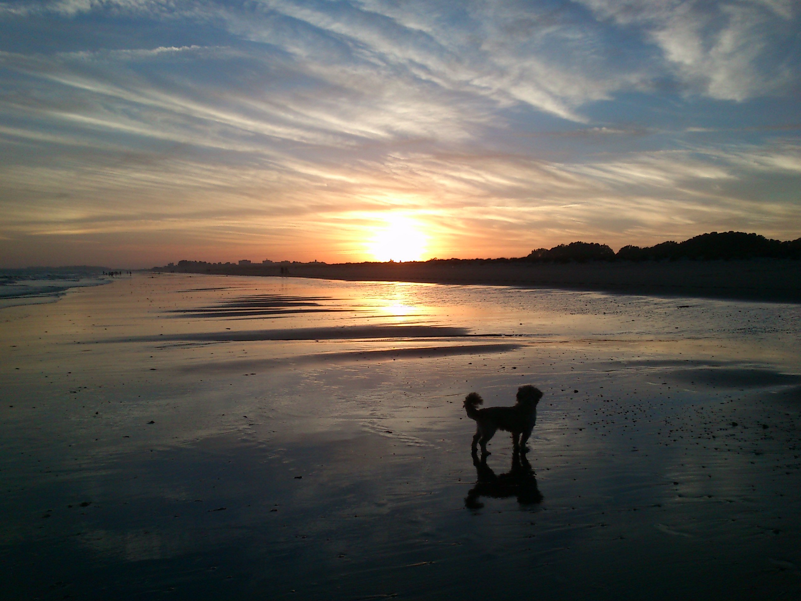 Dawyd78's profile banner image