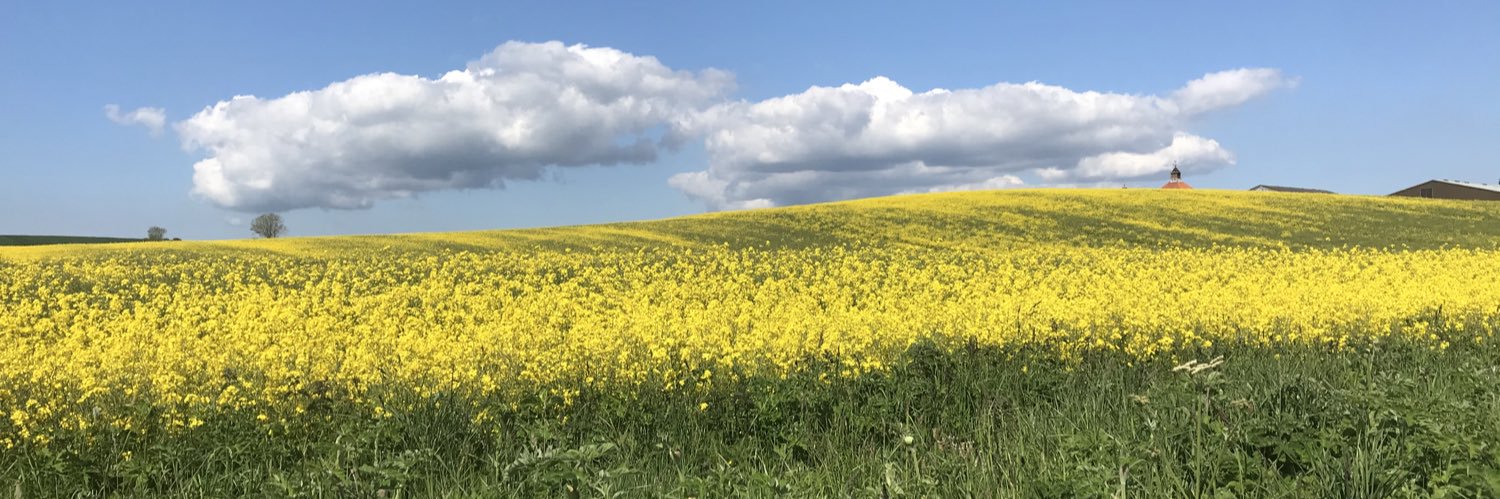 Frances Simpson banner