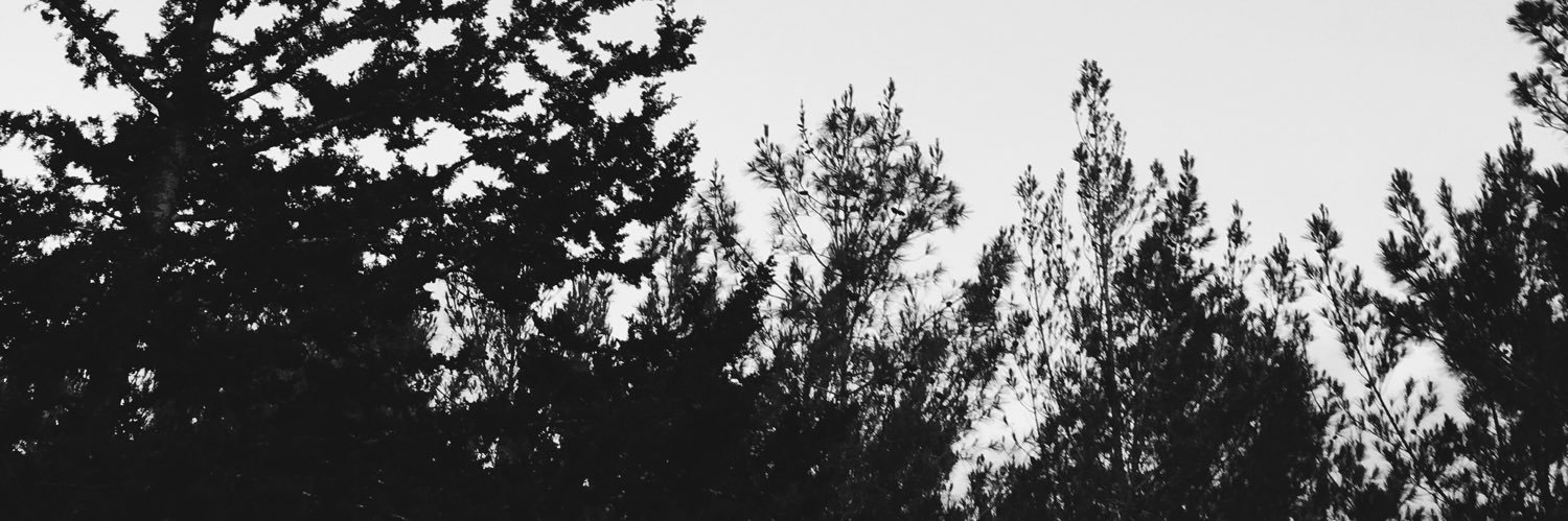 Elads_B's profile banner image