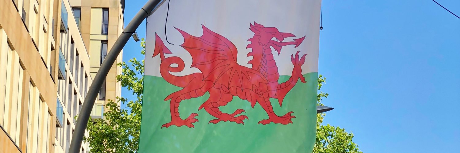 sharktimeuk banner