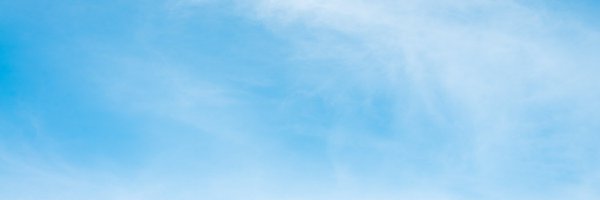 paul_rottger Profile Banner