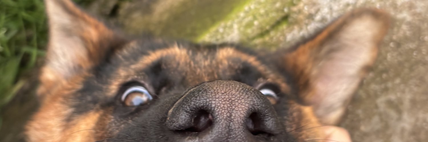 milagrosess's profile banner image
