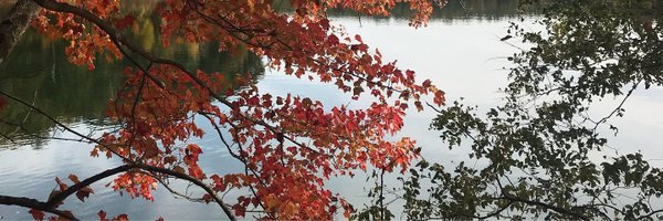 emsilk10 Profile Banner