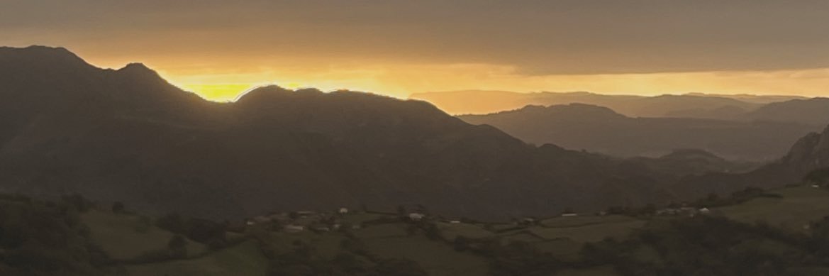 notttcarla's profile banner image