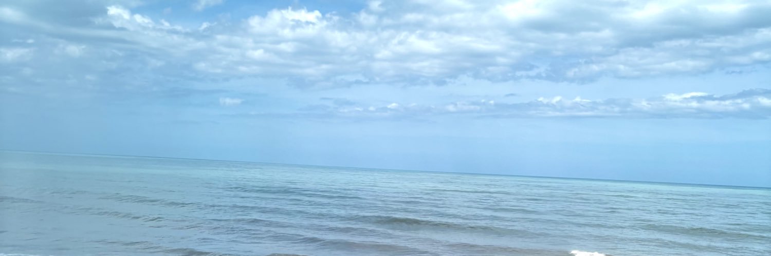 am0699p's profile banner image