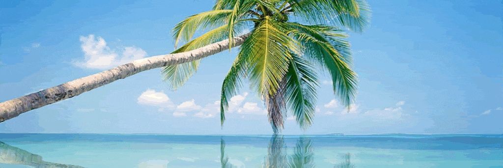 Filosplace's profile banner image