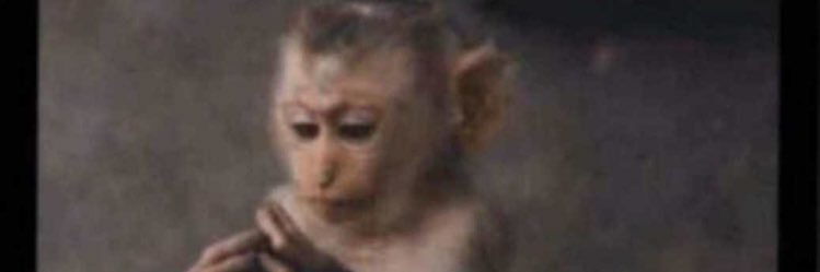 MAKANAKITENIOLA's profile banner image