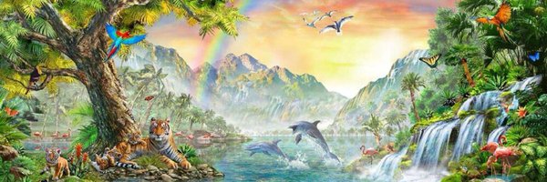 robifart Profile Banner