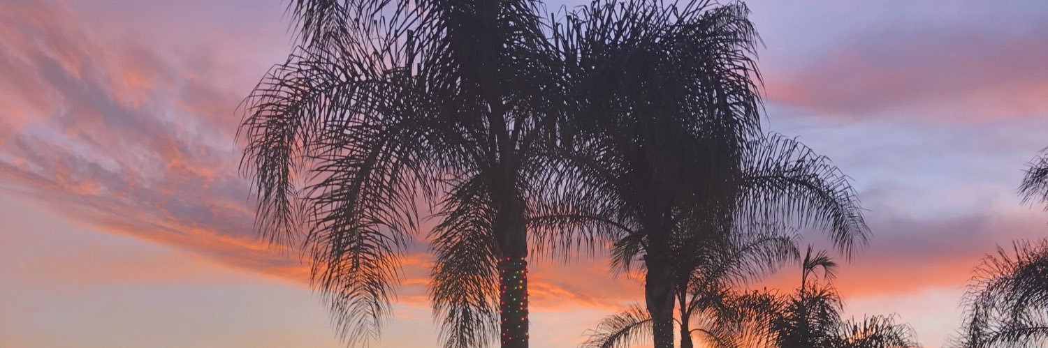 Tayler Thomas banner