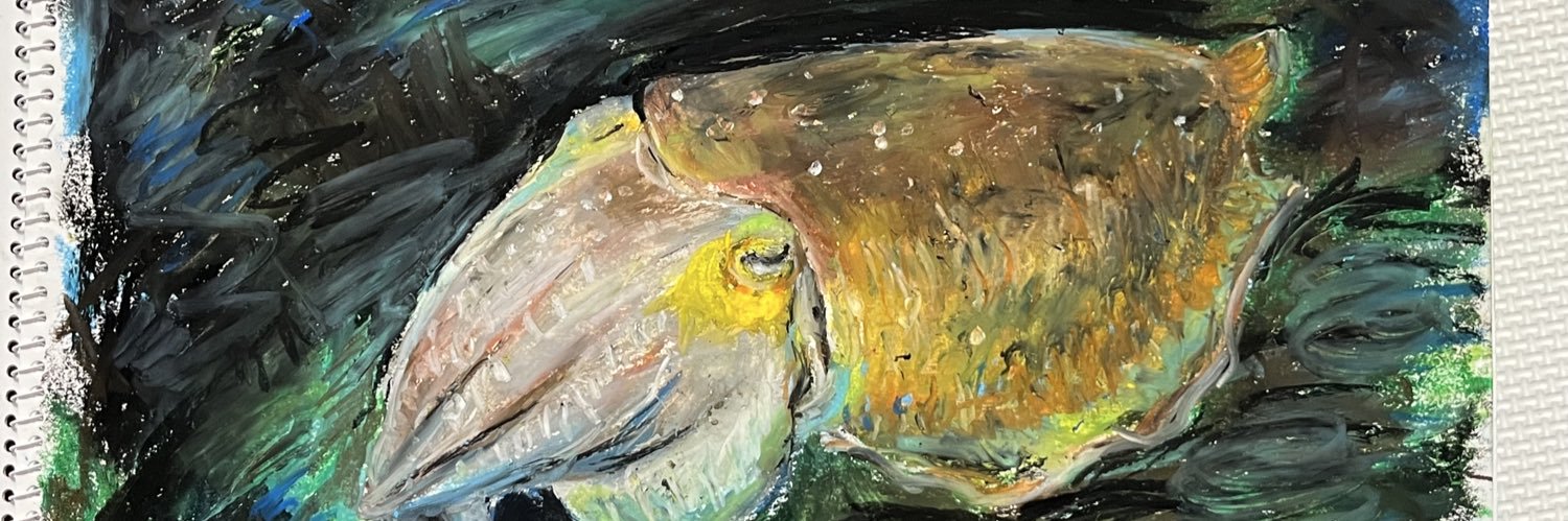 シーネットル　🦑 banner