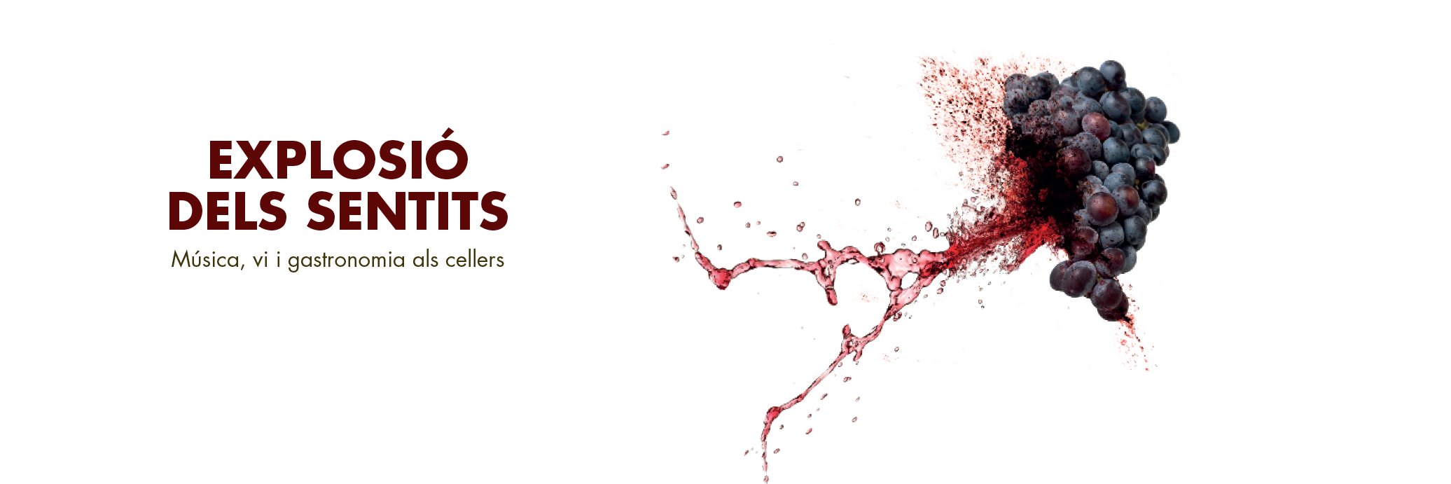 VinyaSons's profile banner image