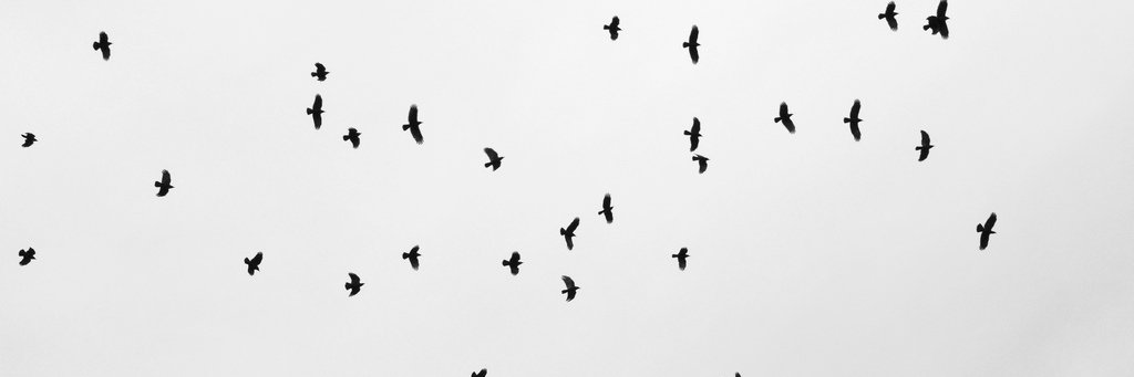 yonakaflight's profile banner image