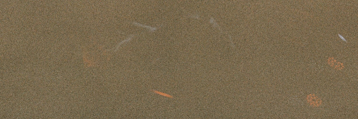 Talita Feijó - Fotógrafa banner