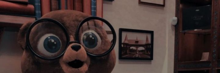 Lavcunha's profile banner image