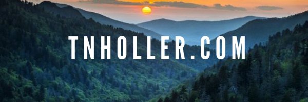 TheBoroHoller Profile Banner