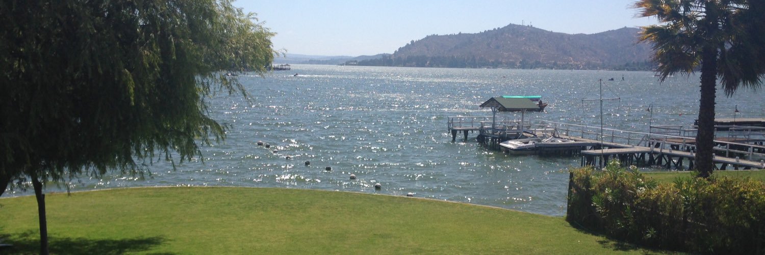 Catalina Achermann banner