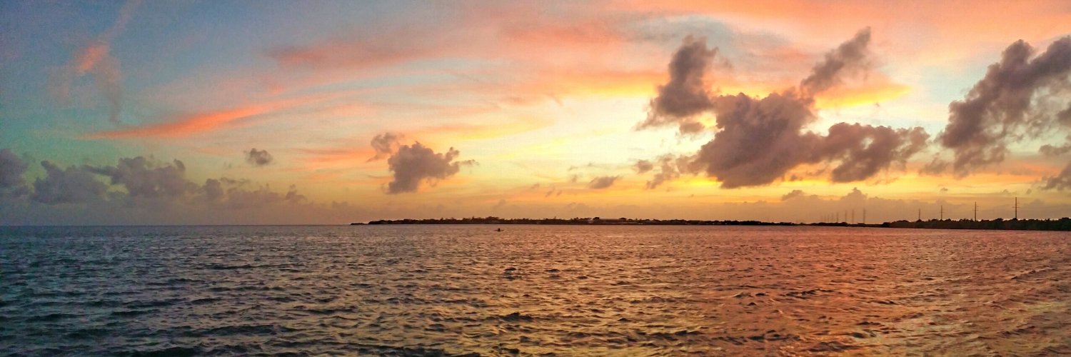pascmartinez's profile banner image
