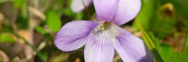 NydtyV3ODjb3cEB Profile Banner