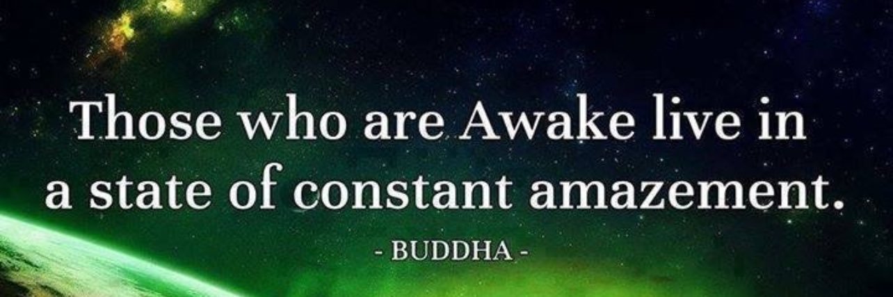 Trix🇦🇺🇭🇺🇿🇼 banner