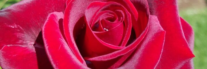 Marlytad's profile banner image