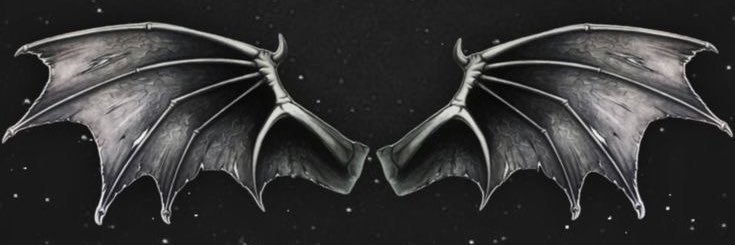 wolfkelly_'s profile banner image