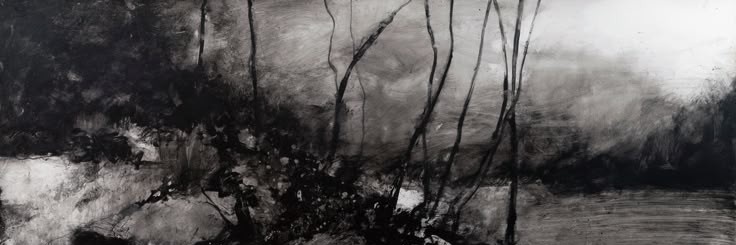 Nezu do Caixão banner