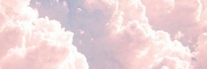 ber banner