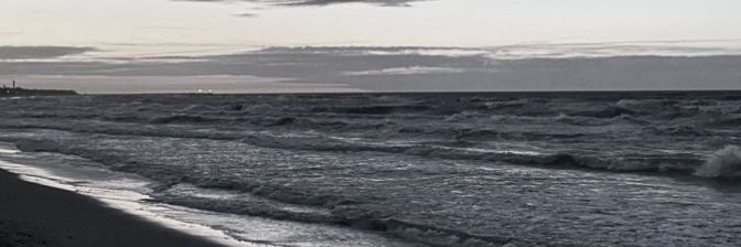 𝓝oys🕊️ banner