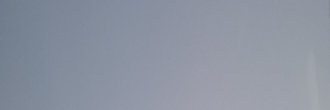 Mint banner