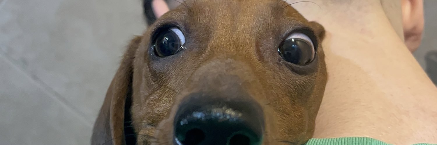 leooowo's profile banner image