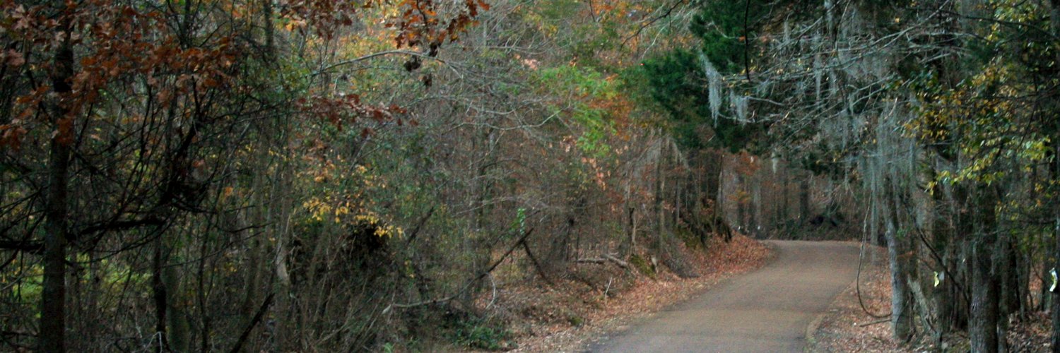 glorywritestheblues banner