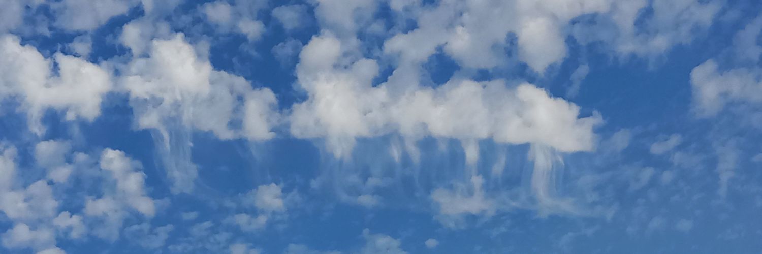 FlonBeach's profile banner image