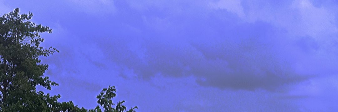 Lennaxu99's profile banner image
