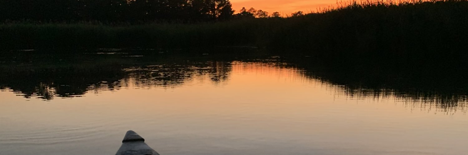 amberbeeeee's profile banner image