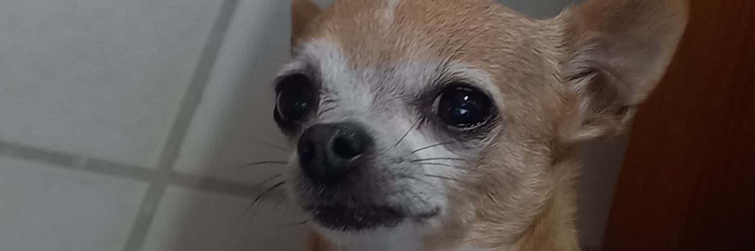 barbbbbbb____'s profile banner image