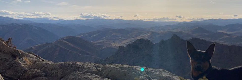 babydaddy longlegs banner