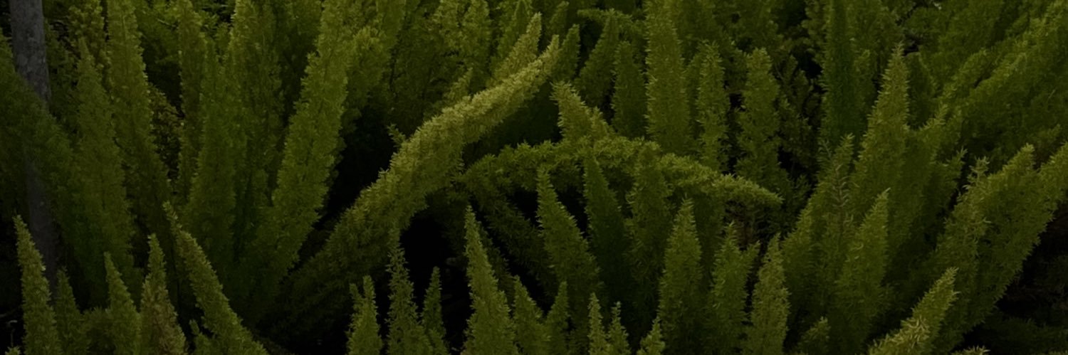 Nat banner