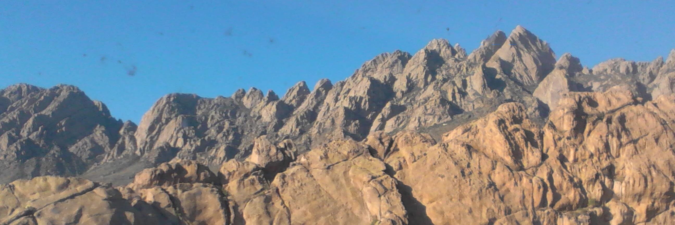 radutepes's profile banner image