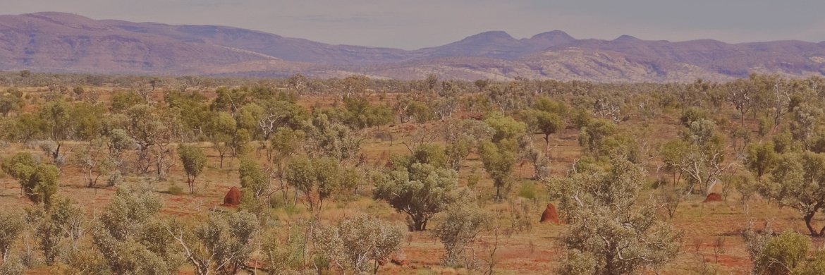 Savannah Goldfields banner