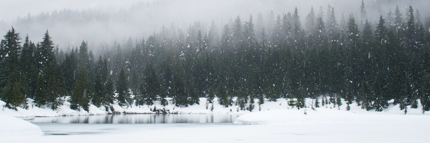 DevScript banner