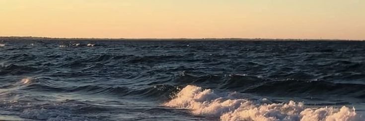lobbfy's profile banner image