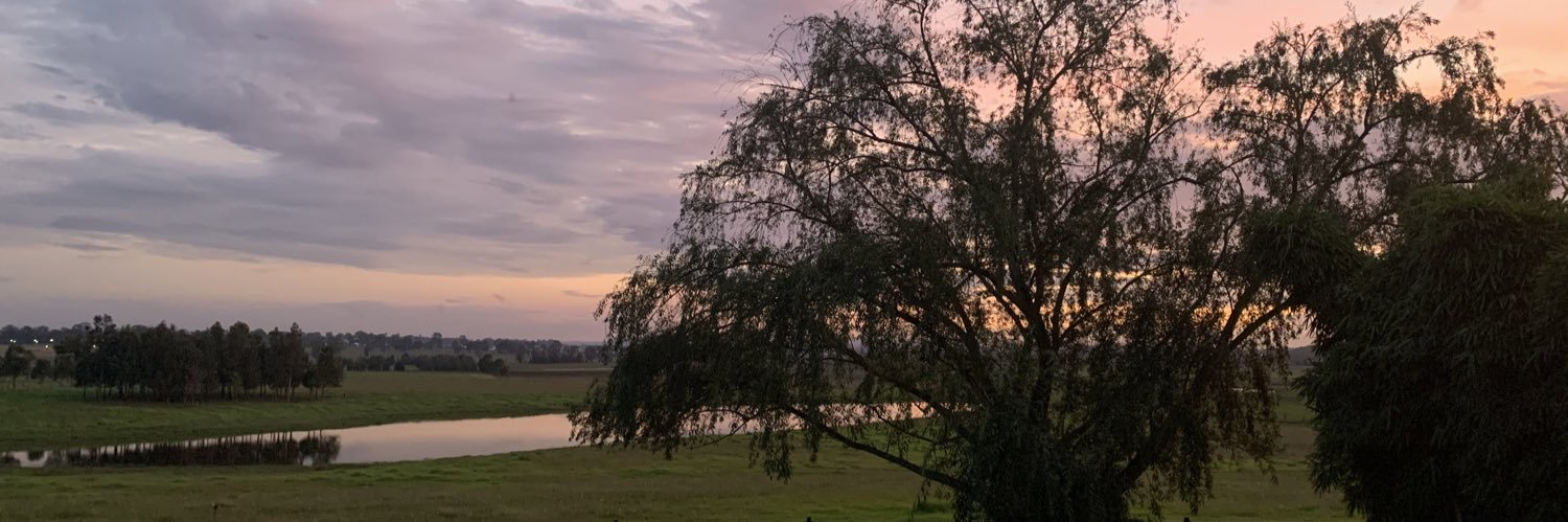 sstockwe's profile banner image