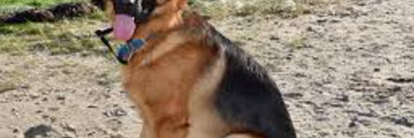 magson_chris Profile Banner