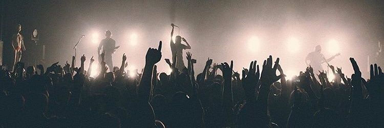 Chicken Fighter banner