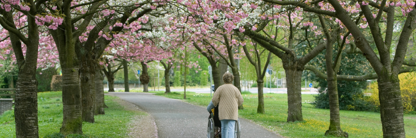 Gerry Nosowska banner