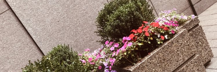 luv_luwa's profile banner image