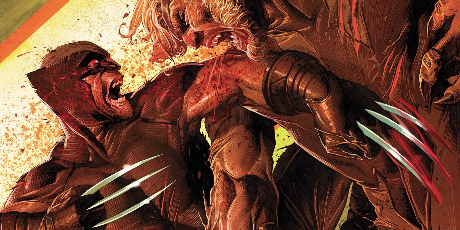 antoboros's profile banner image