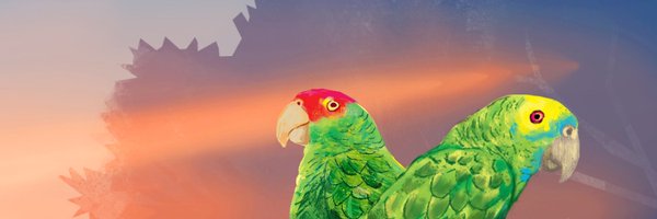 KPCC Profile Banner