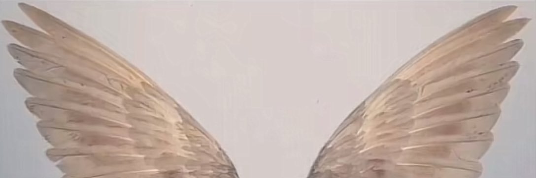 𖤐 banner